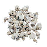 Aquarium Münster Aquavital Zeranix