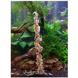 Shrimp Stick -raputikkari, mineraalit 10 kpl