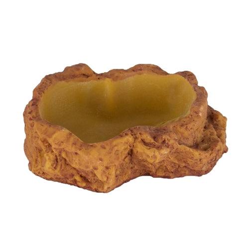 Reptile Nova kuppi S