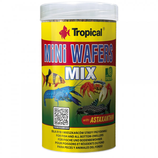 Tropical Mini Wafer Mix