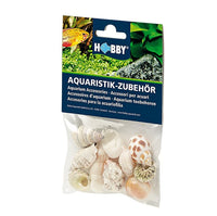 Hobby Sea shells Set M 2,5-4 cm 10 kpl