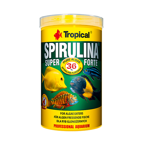 Tropical Spirulina Super Forte